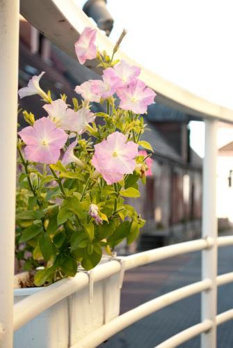 Hostel Ingeri