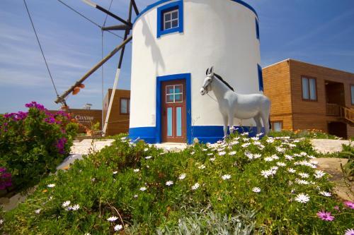 Apartamento Coxos Beach Lodge