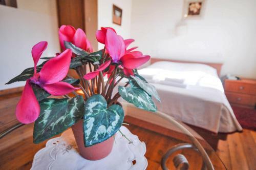 Hapina-shel-michal Hotel