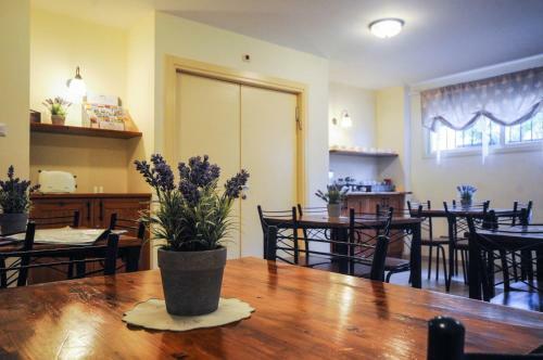 Hapina-shel-michal Hotel