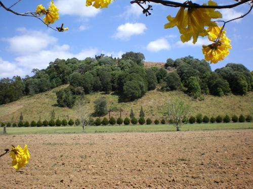 Agroturismo Crystal Creek Country Stay