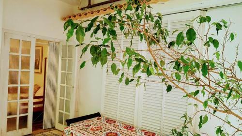 Bed & Breakfast Casa Beludi