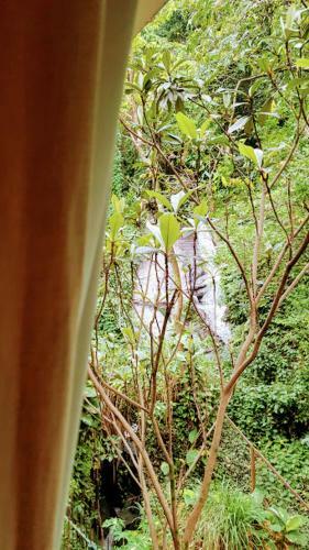 Bed & Breakfast Casa Beludi