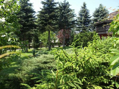 Hostal Erzgebirgspension Thomas