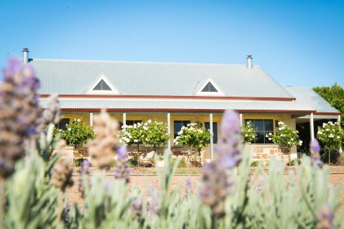Barossa Vineyard Cottages