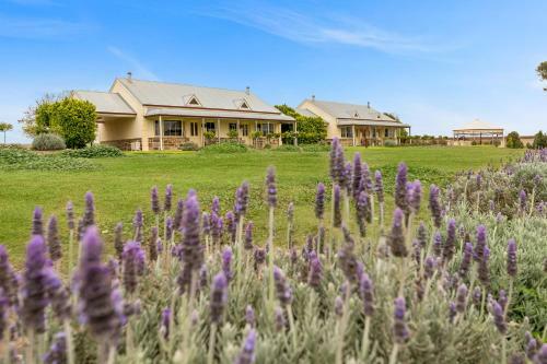 Barossa Vineyard Cottages