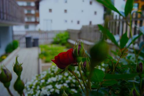 Hostal Haus Dr. K�ck