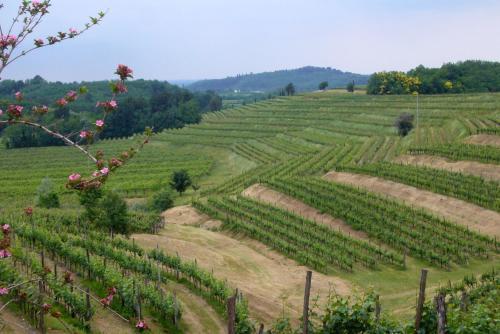 Agroturismo Casa Riz