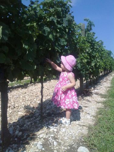 Agroturismo Casa Riz