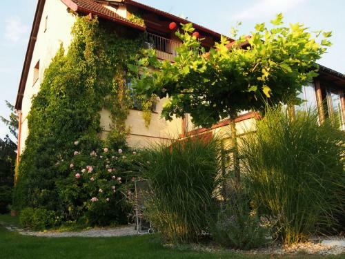 Apartamento Wroclaw