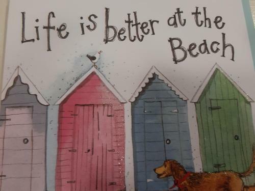 The Beach Hotel