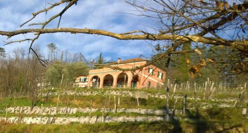 Agroturismo Agriturismo Cerrolungo