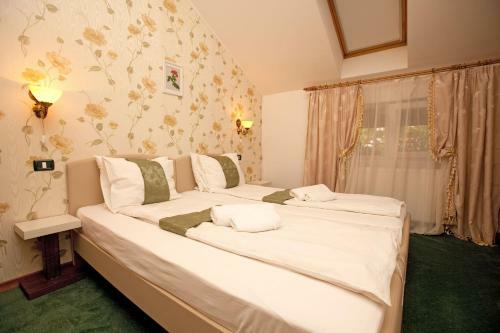Hostal Pension Dinu Residence