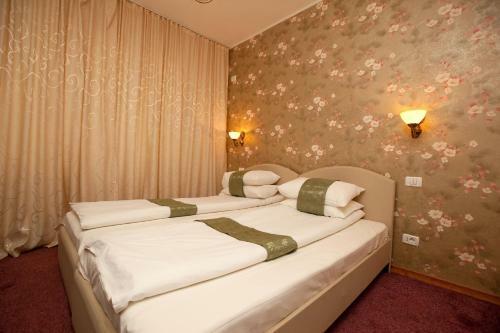 Hostal Pension Dinu Residence