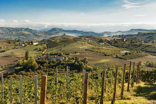 Agroturismo Il Vigneto