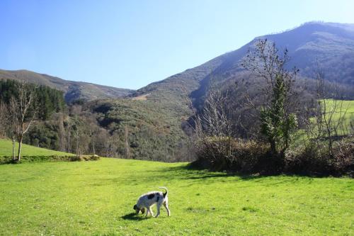 Agroturismo Posada De Tollo