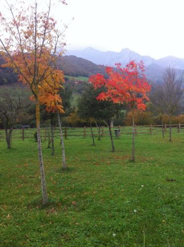 Agroturismo Posada De Tollo