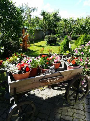 Hostal Urusel Guesthouse