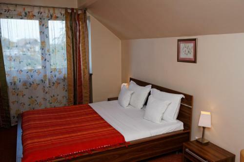 Hostal Pension Stejeris