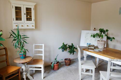 Hostal Pension Stejeris