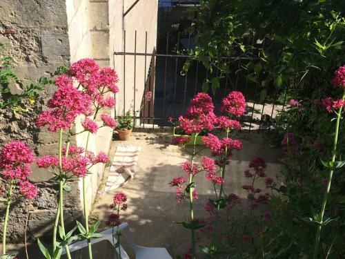 Gite Du Vignoble Car�me