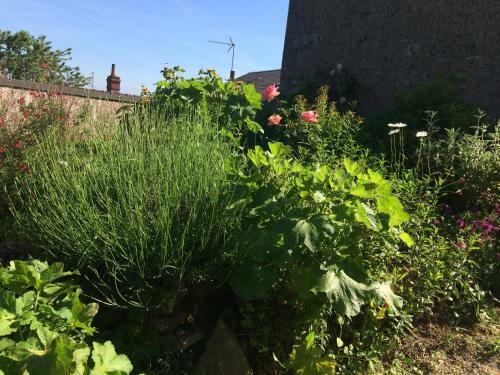 Gite Du Vignoble Car�me