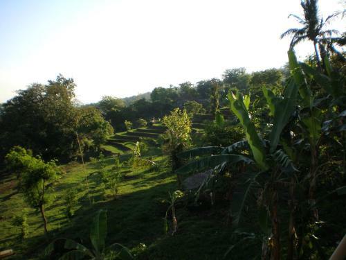 Villa The Raja Singha Boutique Resort Bali