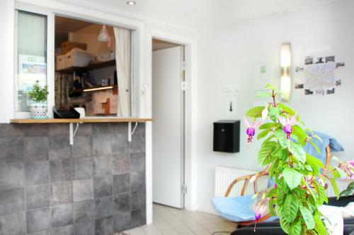 Albergue Rut & Ragnars Vandrarhem