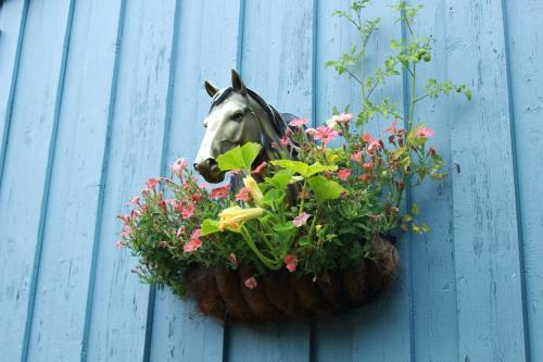 Posada Auberge Le Cheval Bleu