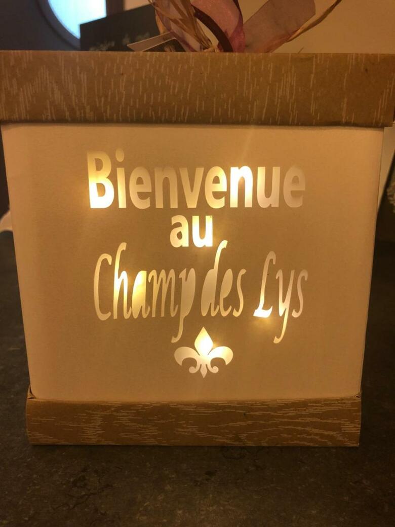 Hotel Le Champ Des Lys