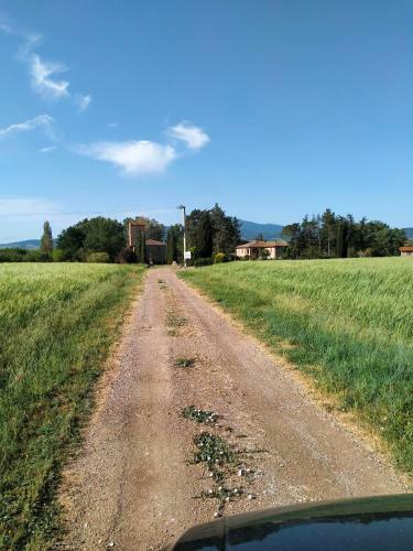 Hostal Agriturismo Torrevecchia