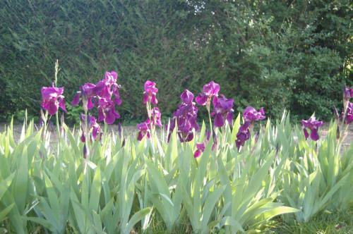 Bed & Breakfast La Chaiserie