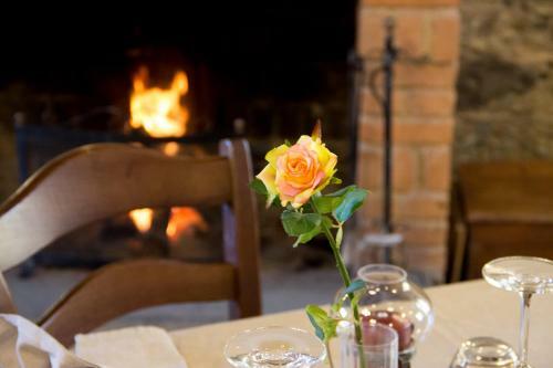 Hostal La Rosa Nel Bicchiere