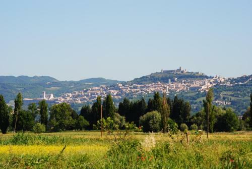 Hostal Agriturismo Il Barco