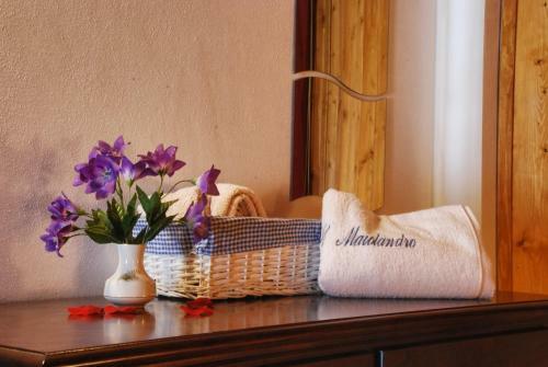 Bed & Breakfast Il Maiolandro
