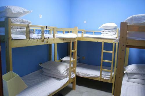 Snow Young Hostel