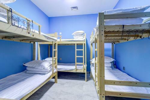 Snow Young Hostel