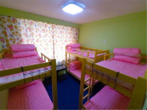 Snow Young Hostel