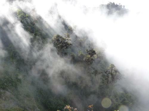 Posada El Refugio De Intag Cloud Forest Retreat