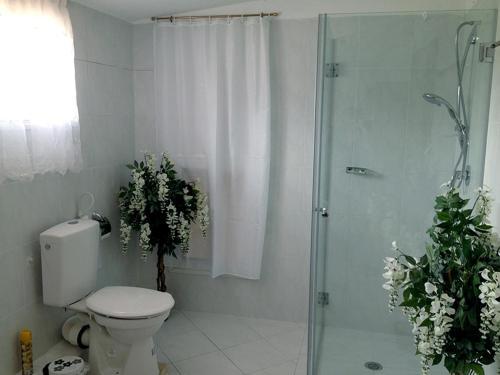 Flower Suite - Mina Teva
