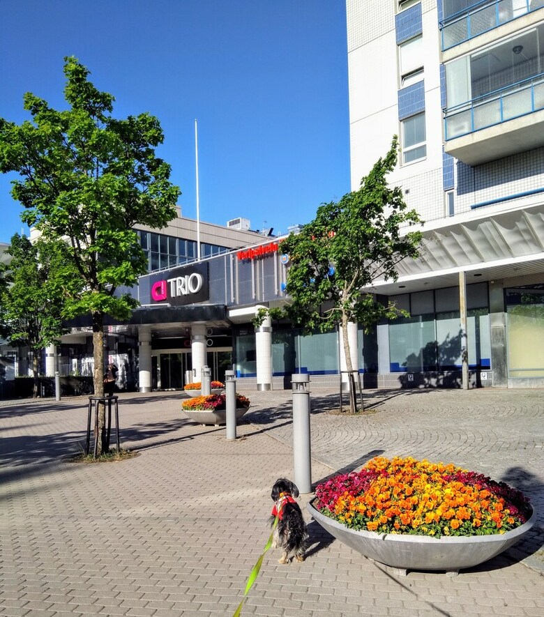 Apartamentos Pinjakoti