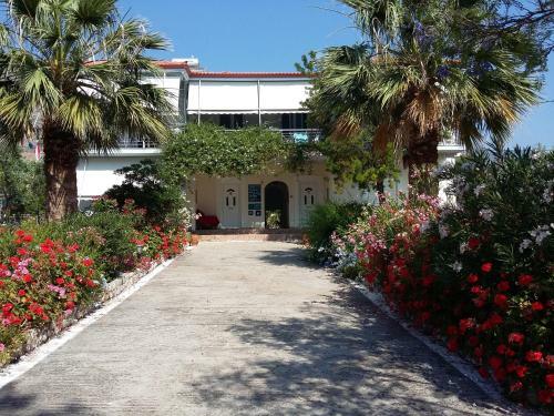 Hostal Elea