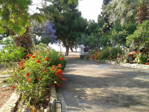 Hostal Elea