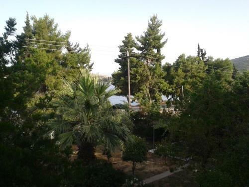 Hostal Elea