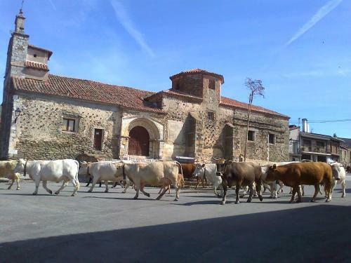 Agroturismo Casa Rural P�jaro Bobo