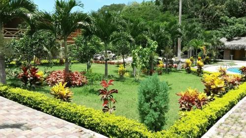 Hostal Hosteria Arand�