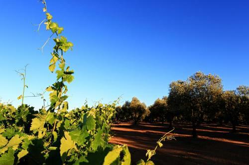 Agroturismo Herdade Da Calada