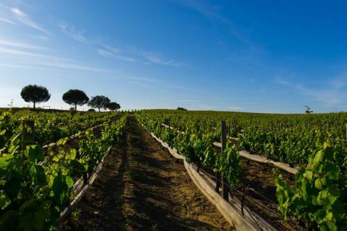Agroturismo Herdade Da Calada