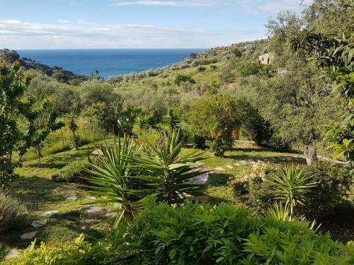 Apartamento I Valloni