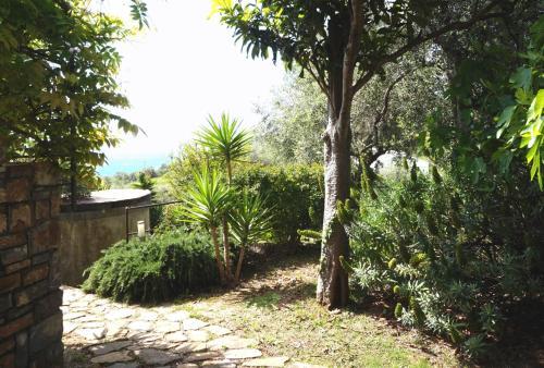 Apartamento I Valloni